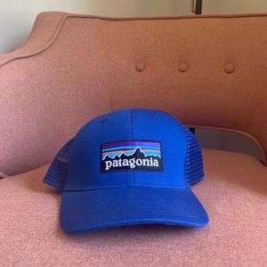 Patagonia Trucker hat